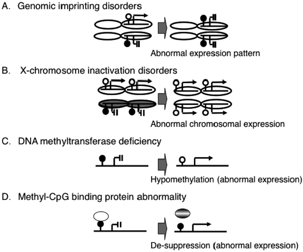 Pharmaceuticals 05 00369 g002 1024