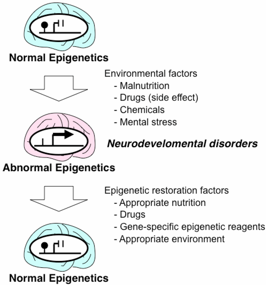 Pharmaceuticals 05 00369 g003 1024