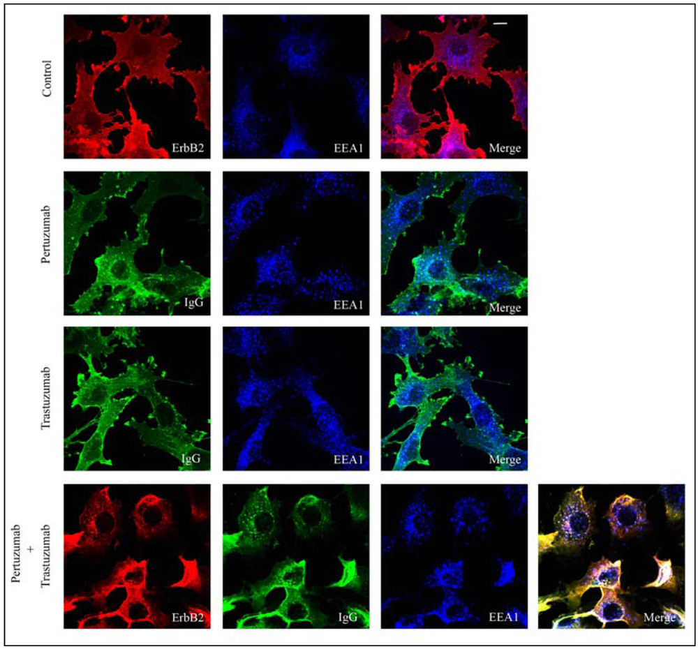 Pharmaceuticals 05 00674 g001 1024