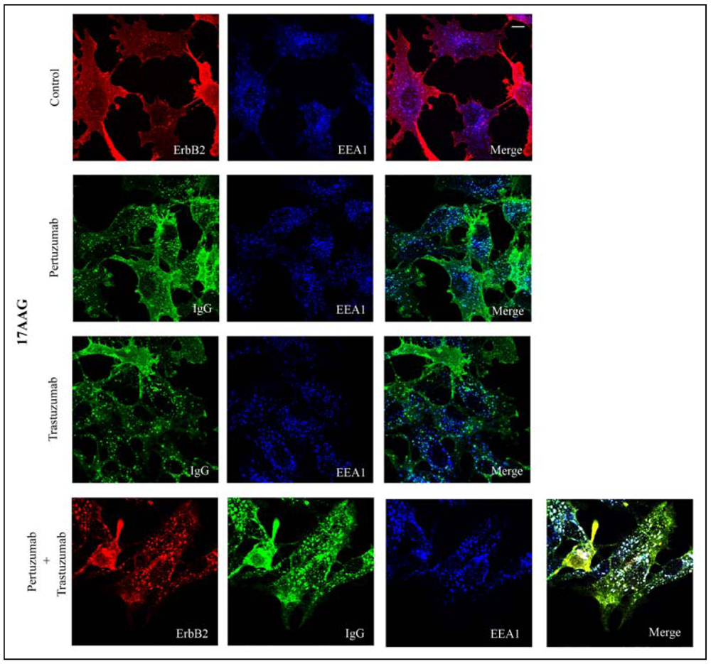 Pharmaceuticals 05 00674 g003