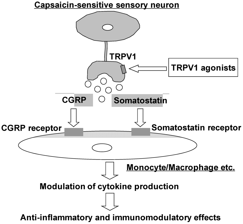 Pharmaceuticals 05 00837 g001 1024