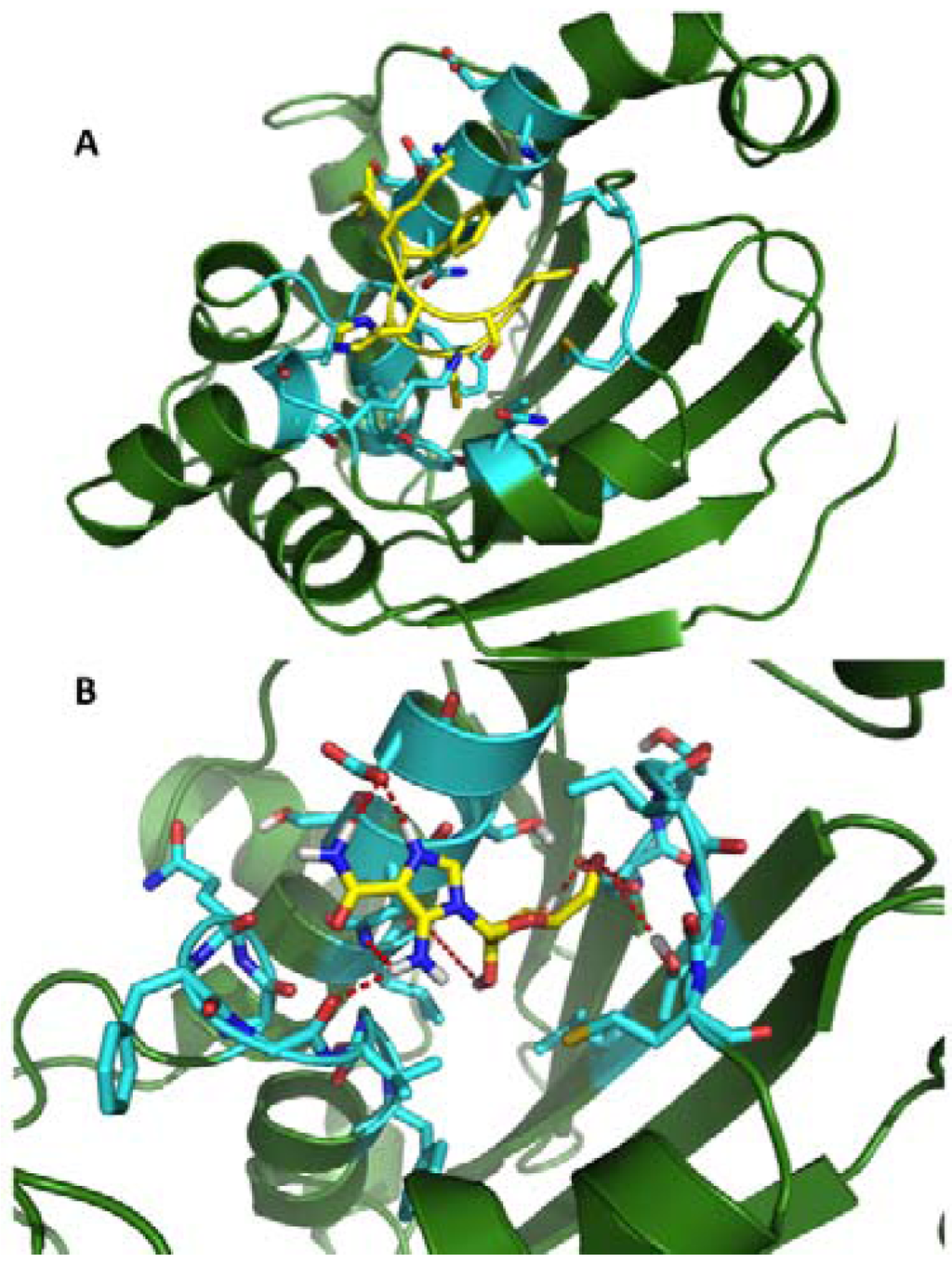 Pharmaceuticals 05 00944 g002 1024