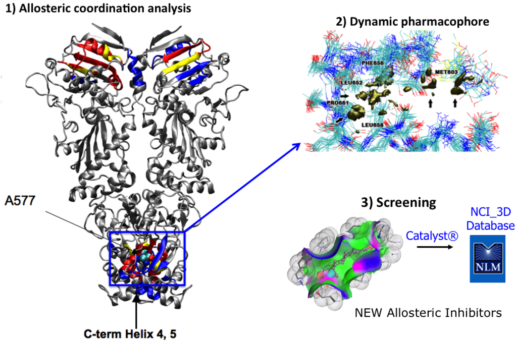 Pharmaceuticals 05 00944 g003 1024