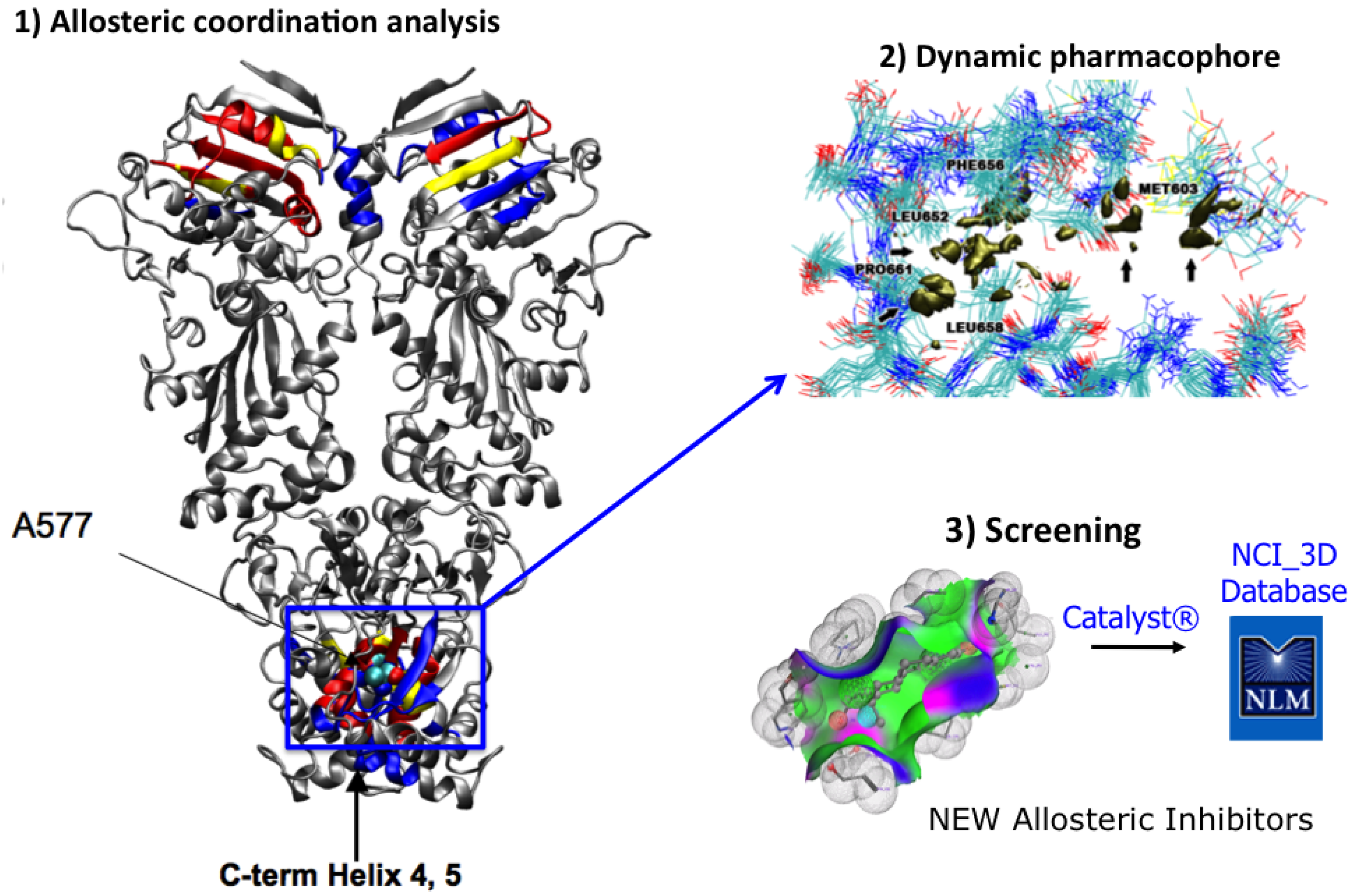 Pharmaceuticals 05 00944 g003