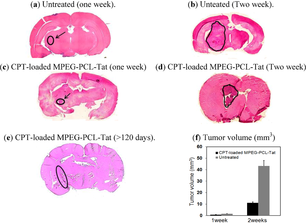 Pharmaceuticals 05 01092 g003 1024