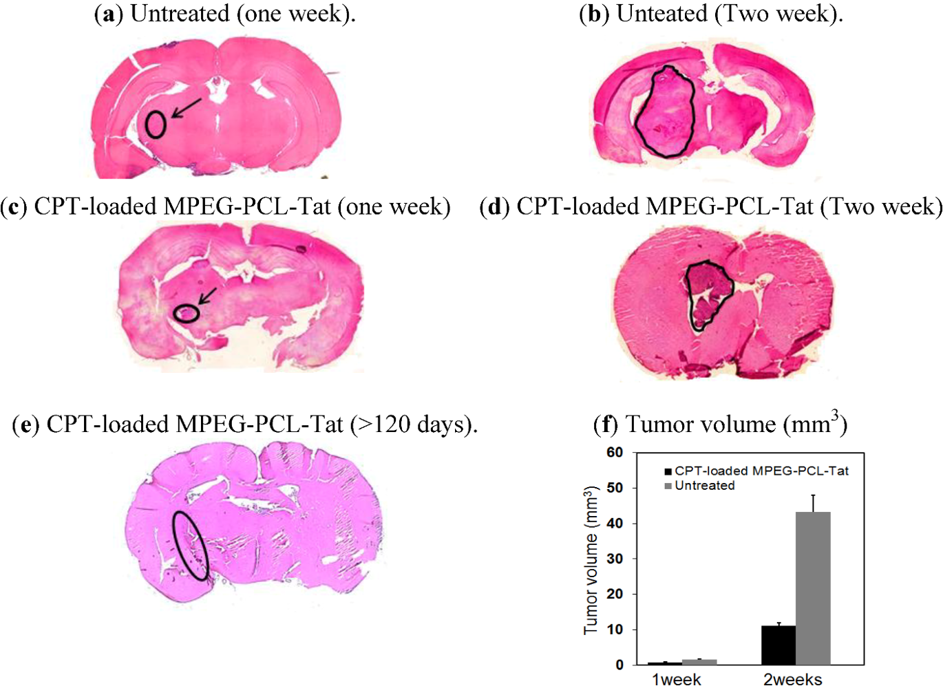 Pharmaceuticals 05 01092 g003
