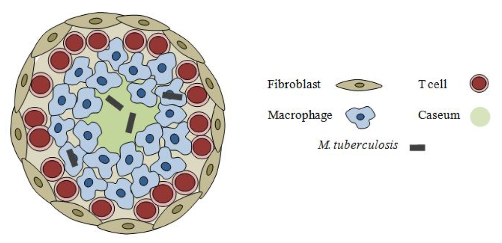 Pharmaceuticals 05 01210 g001 1024