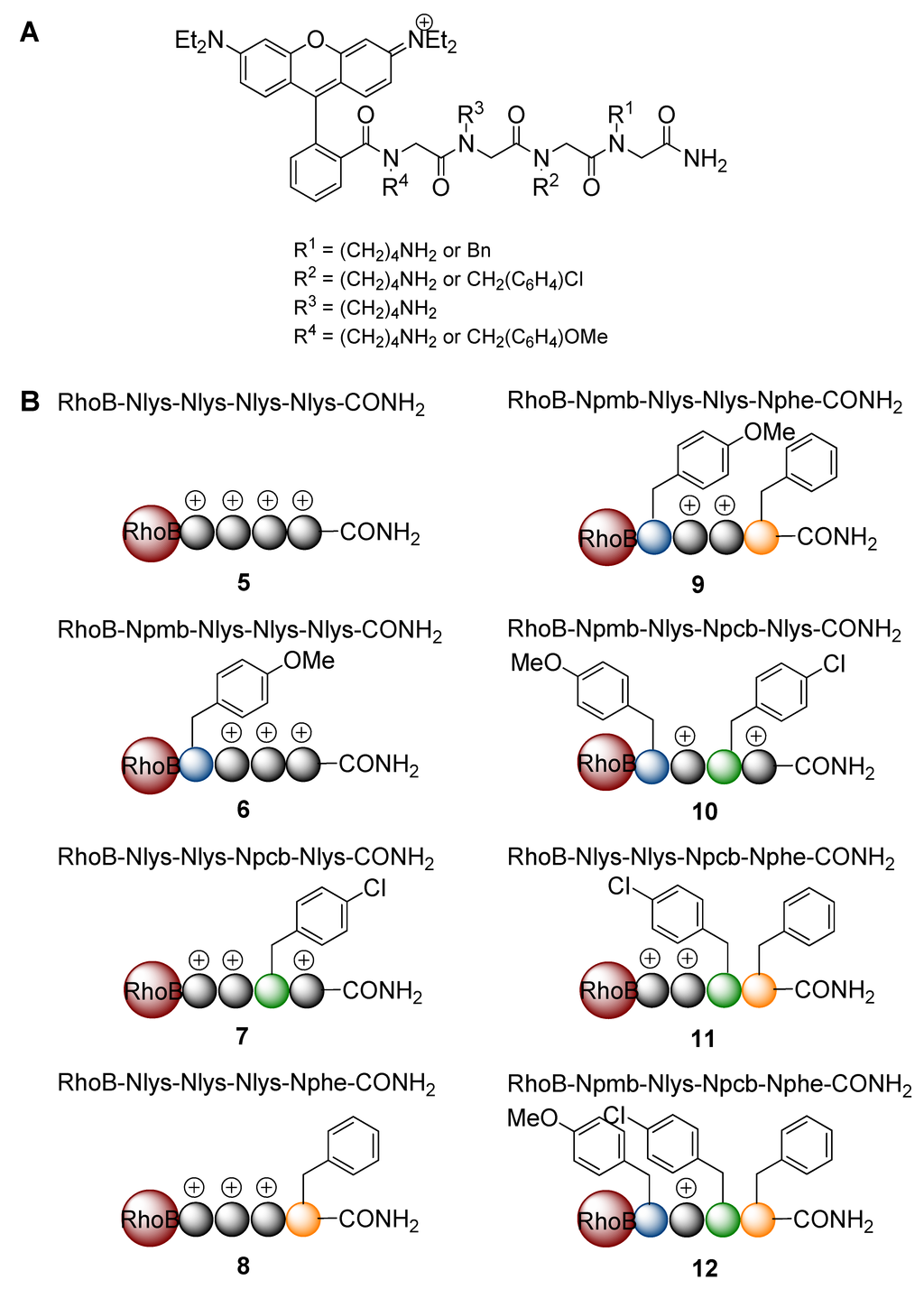 Pharmaceuticals 05 01265 g004 1024