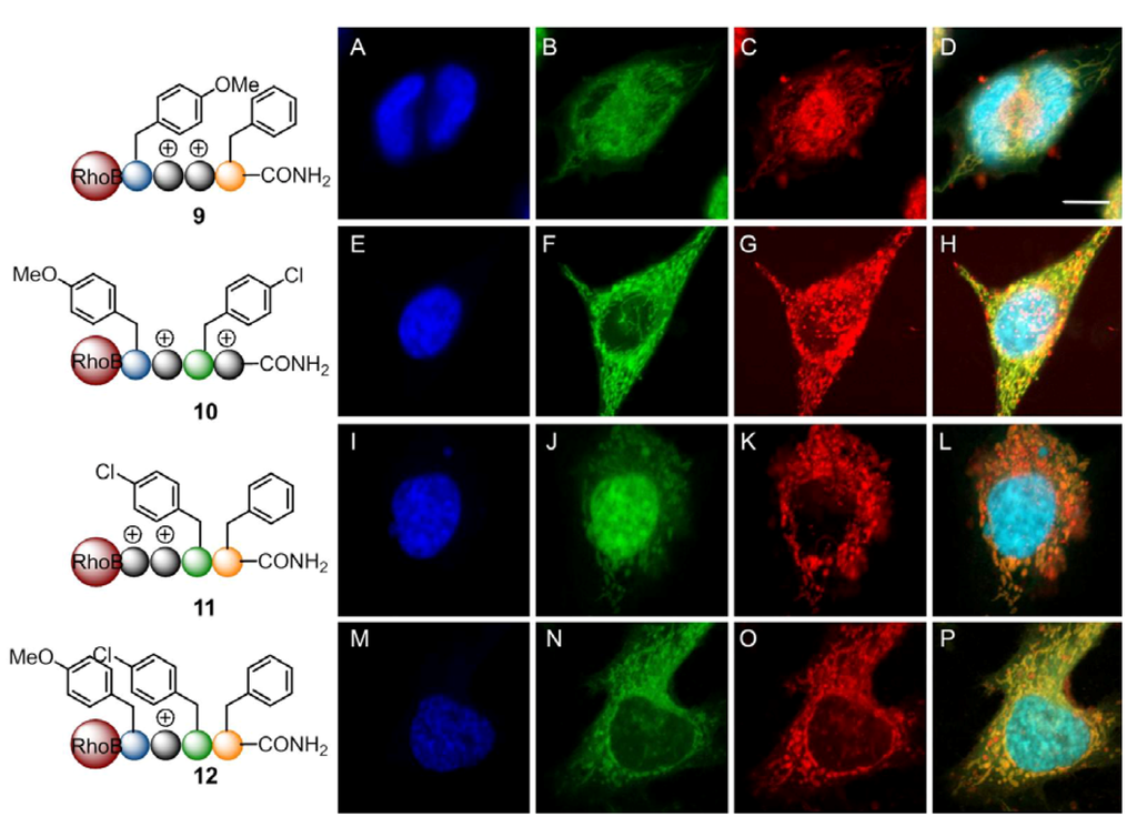 Pharmaceuticals 05 01265 g006 1024