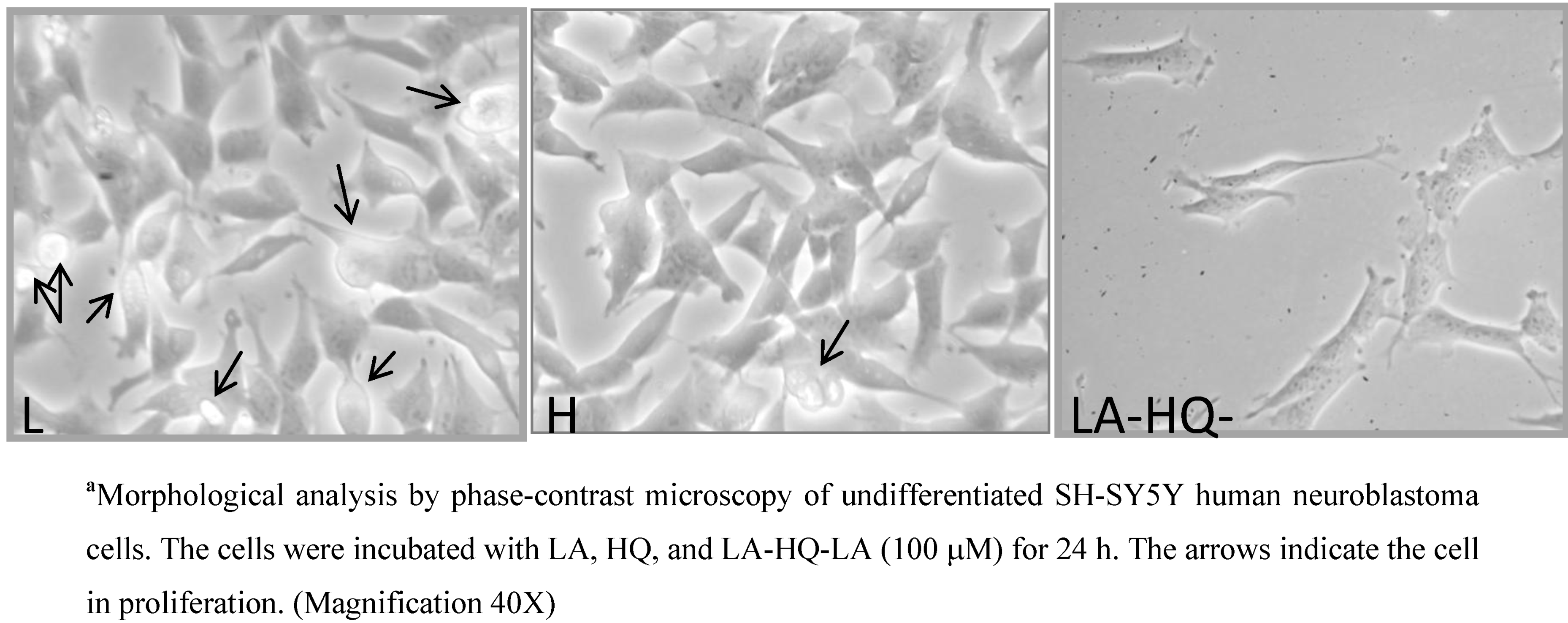 Pharmaceuticals 06 00054 g002