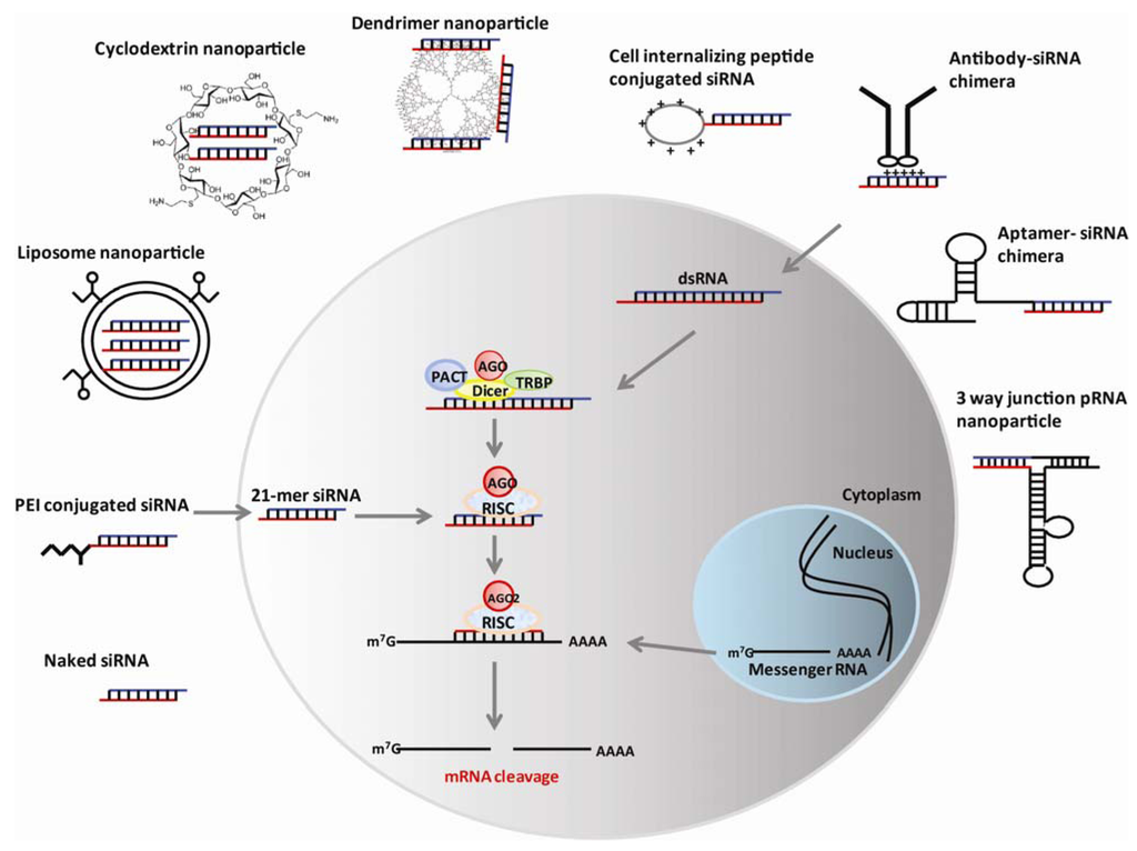 Pharmaceuticals 06 00085 g001 1024