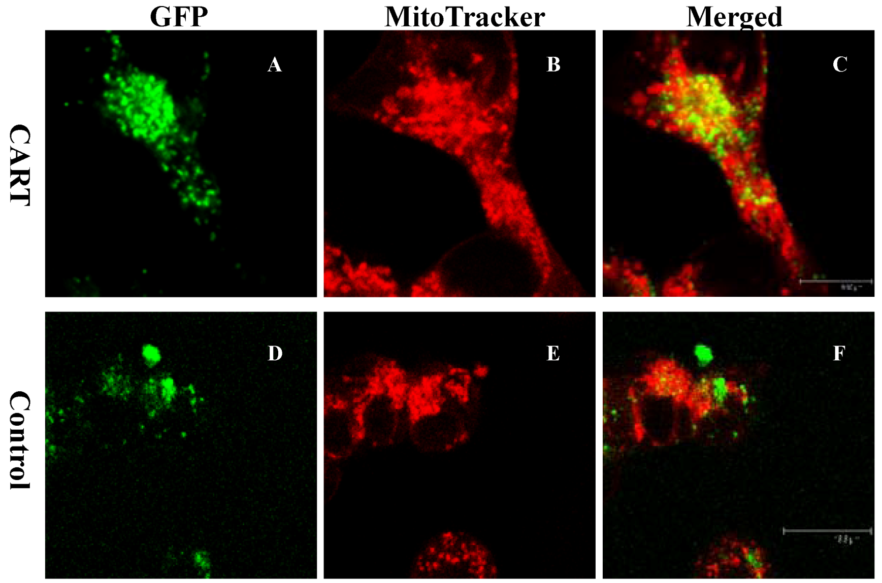Pharmaceuticals 06 00108 g002