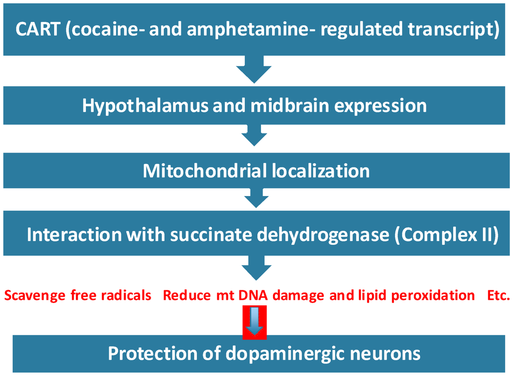 Pharmaceuticals 06 00108 g003 1024