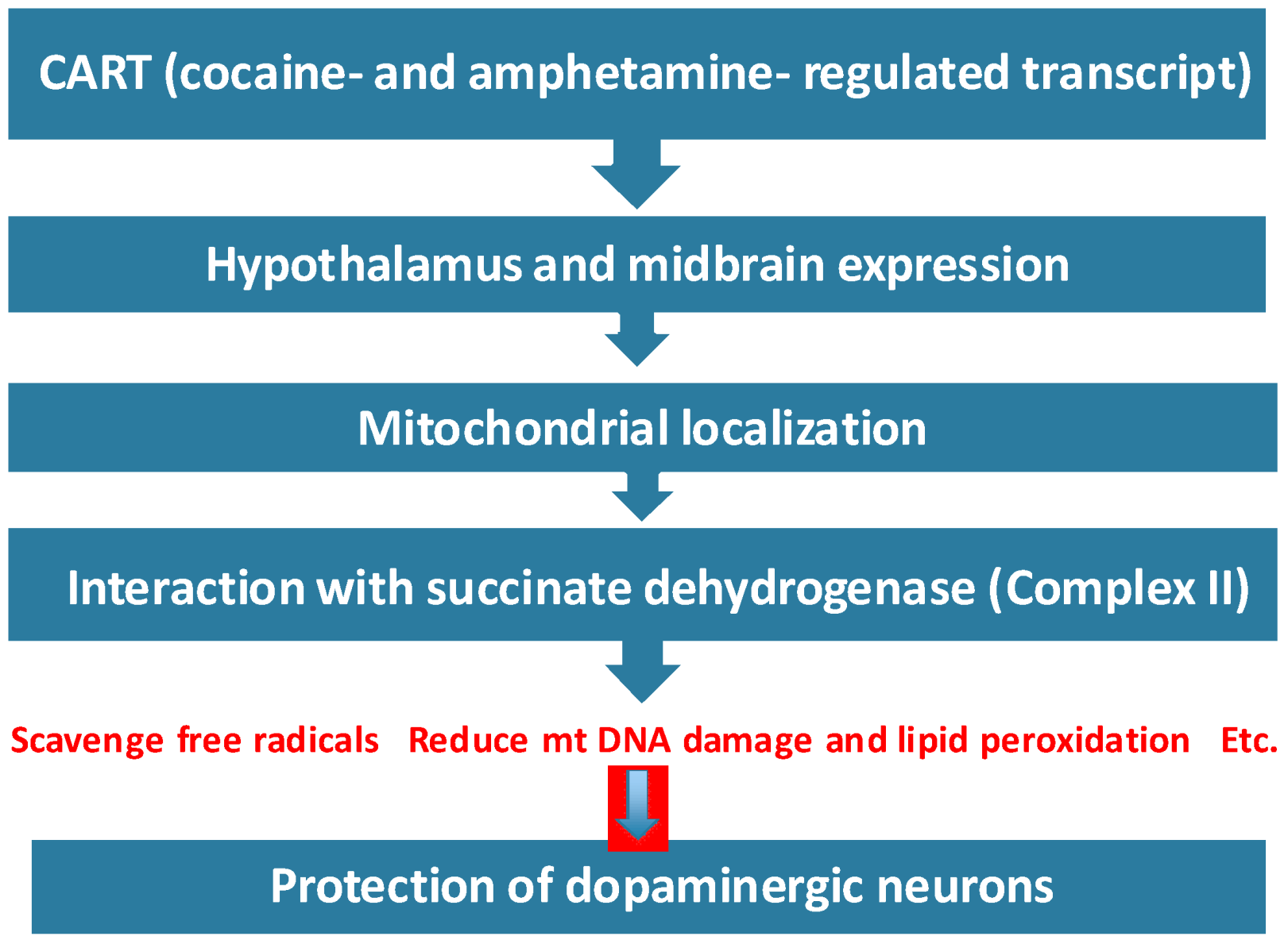 Pharmaceuticals 06 00108 g003