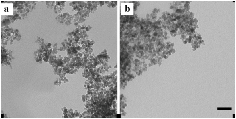 Pharmaceuticals 06 00204 g001 1024