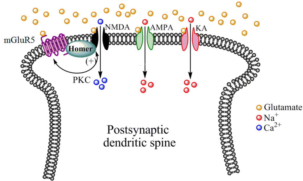 Pharmaceuticals 06 00251 g003 1024