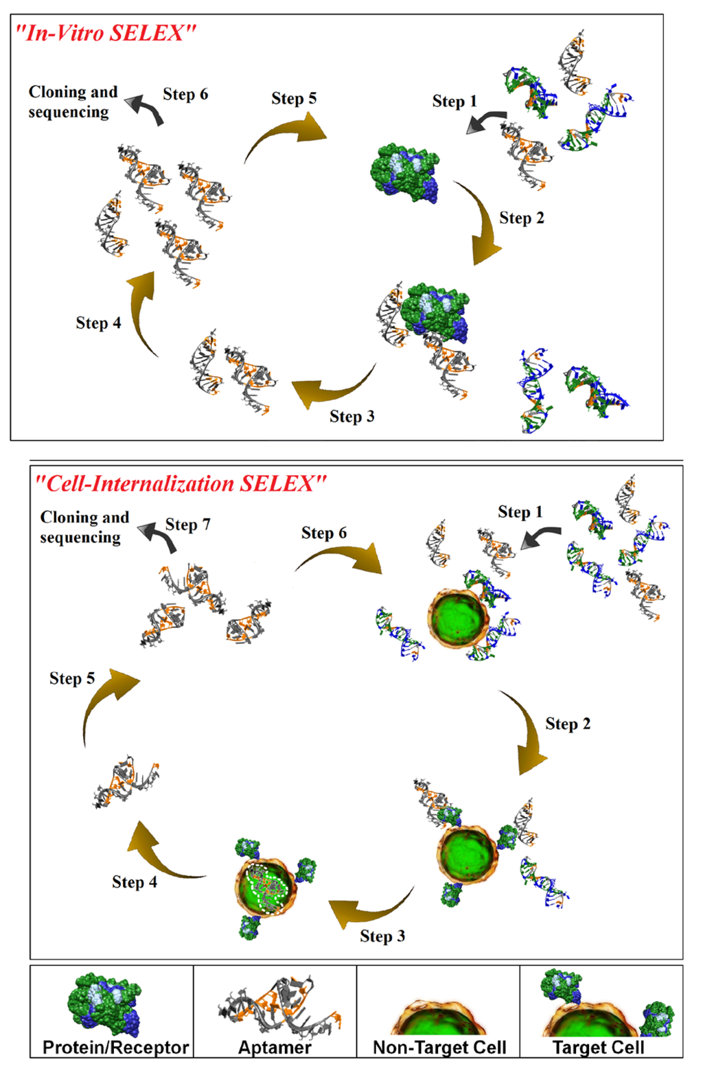 Pharmaceuticals 06 00295 g001 1024