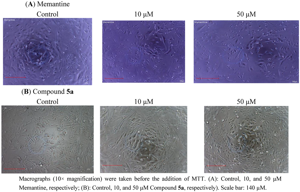 Pharmaceuticals 06 00536 g003 1024