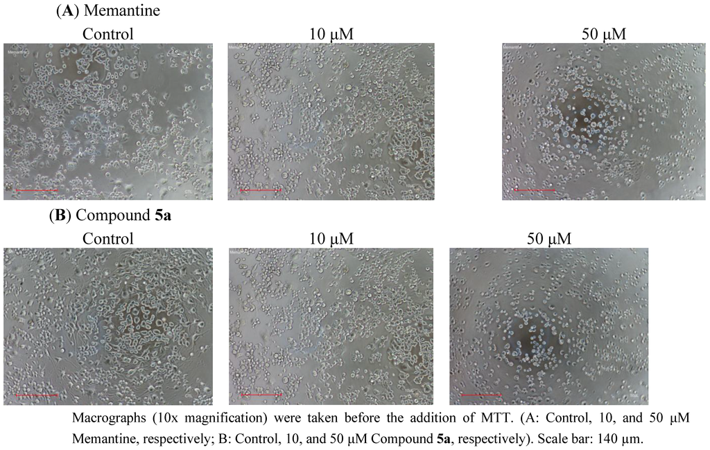 Pharmaceuticals 06 00536 g005 1024