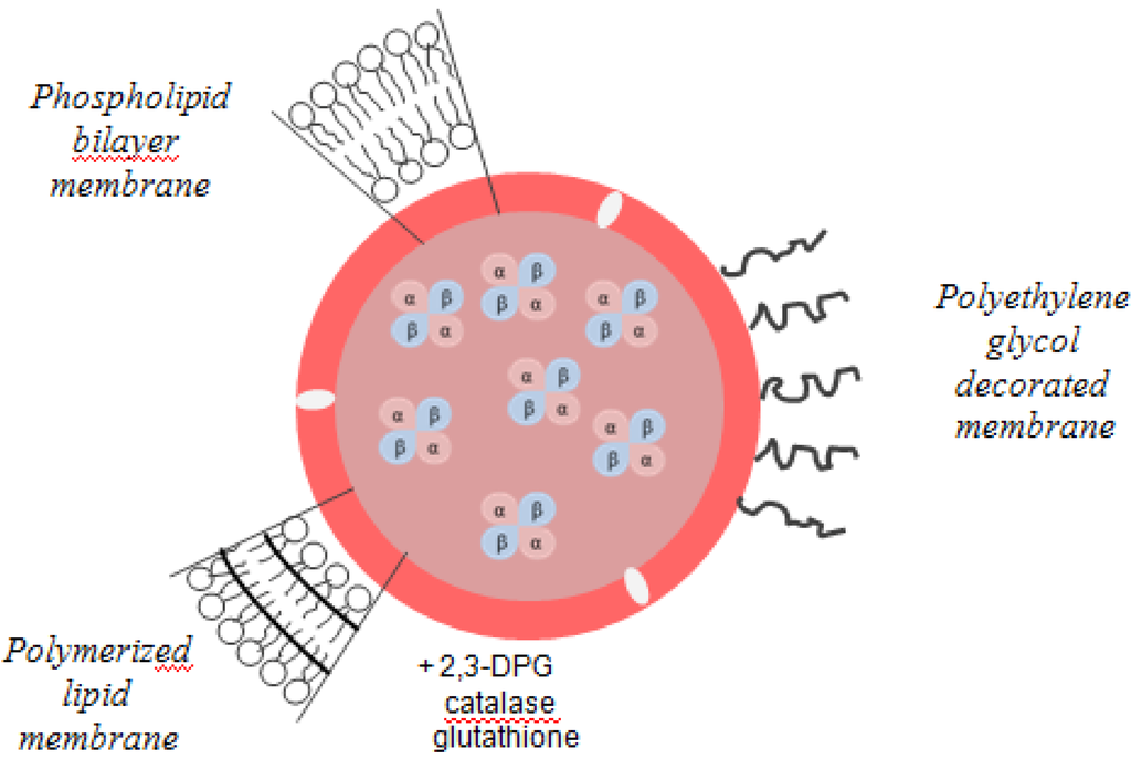Pharmaceuticals 06 00867 g006 1024