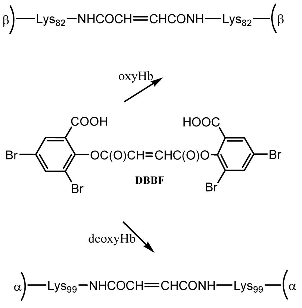 Pharmaceuticals 06 00867 g007 1024
