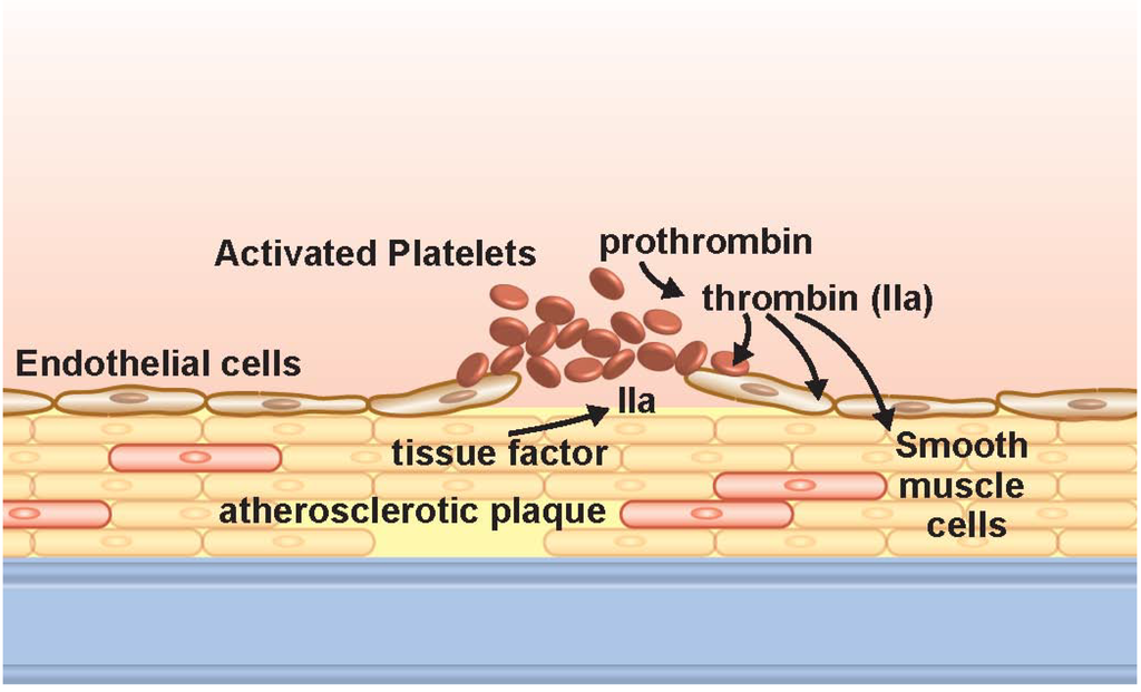 Pharmaceuticals 06 00915 g001 1024