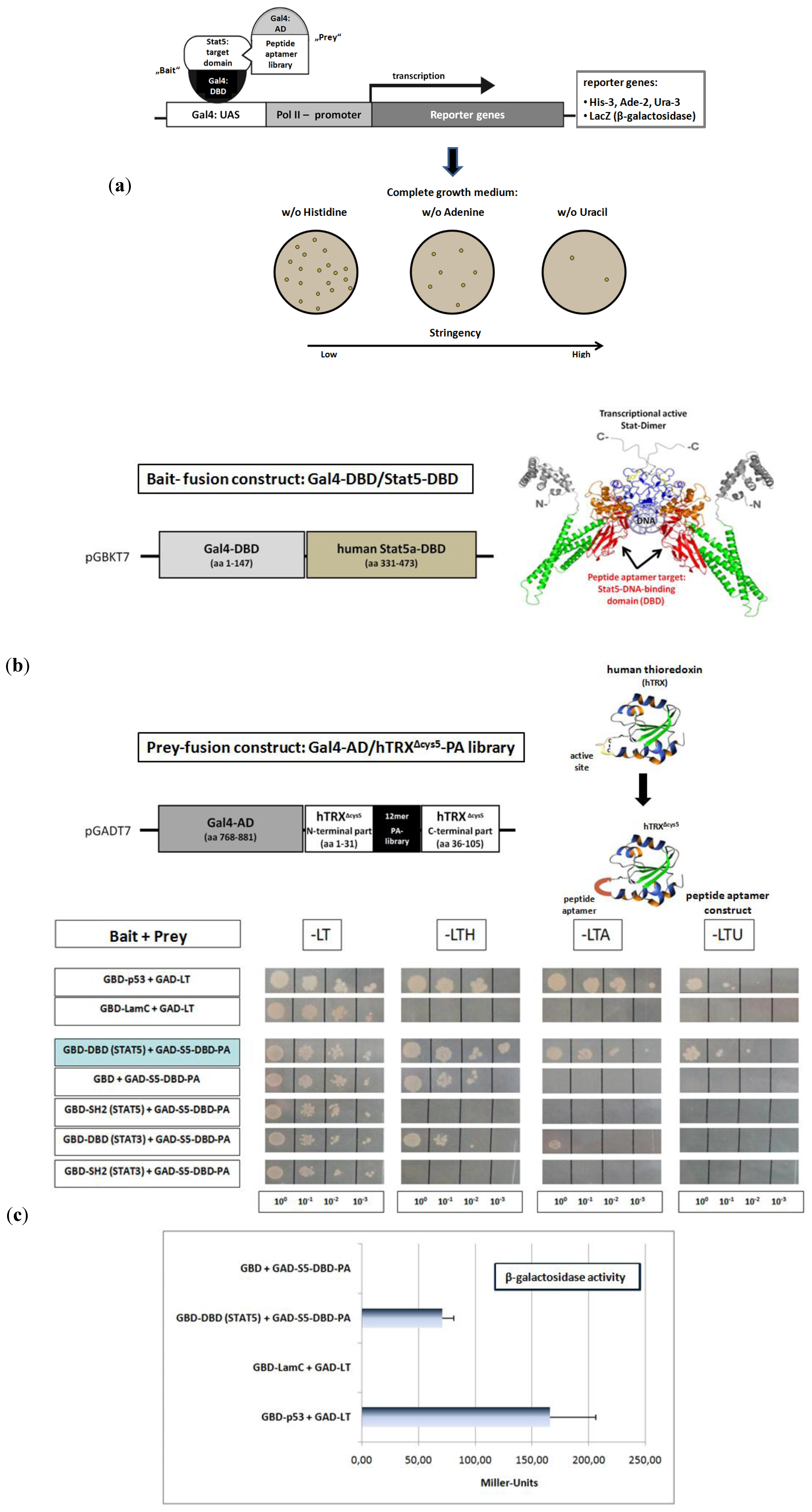 Pharmaceuticals 06 00960 g002