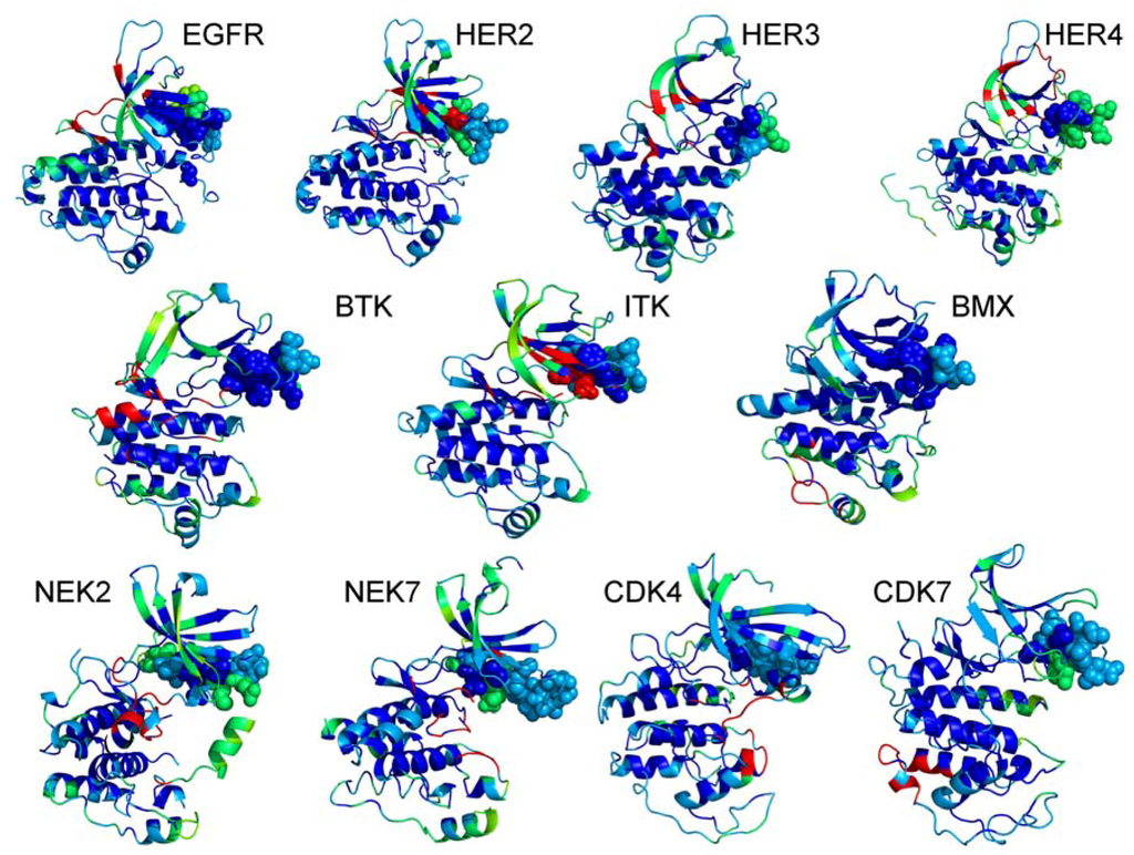 Pharmaceuticals 06 01407 g003 1024