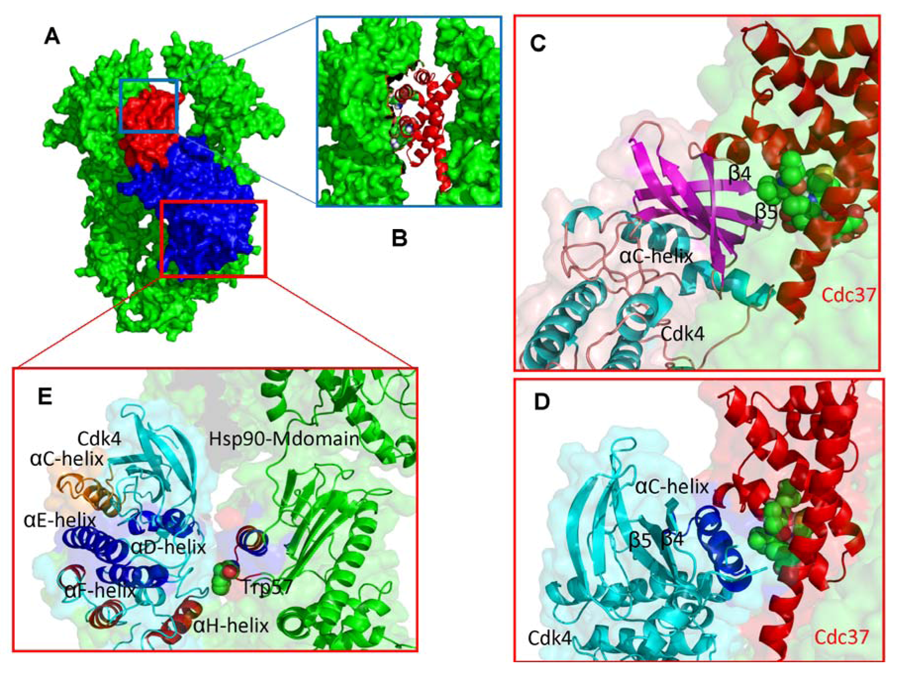 Pharmaceuticals 06 01407 g007