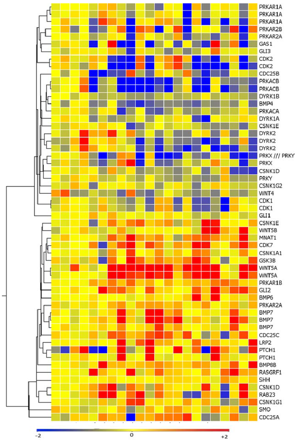 Pharmaceuticals 06 01429 g001 1024