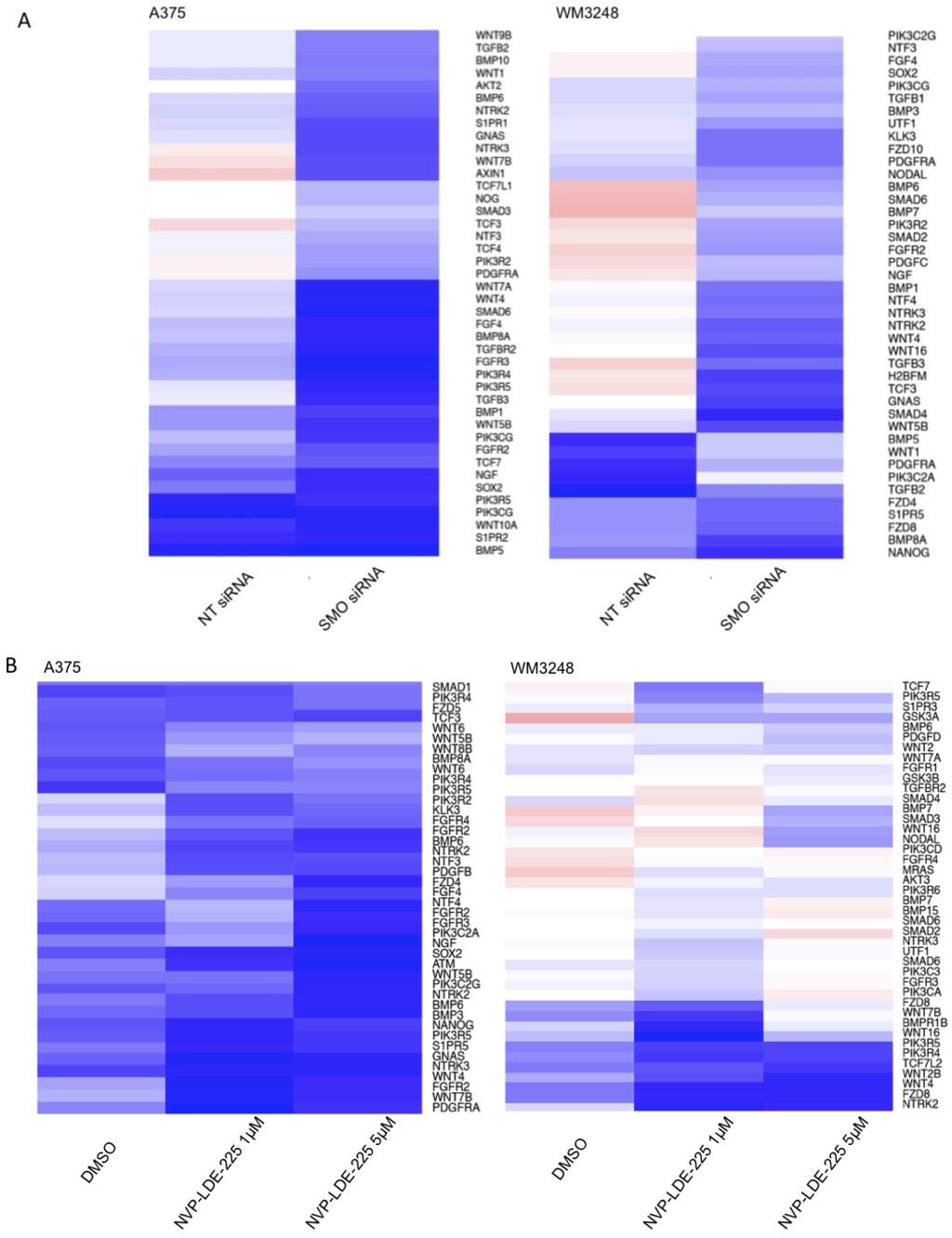 Pharmaceuticals 06 01429 g010 1024