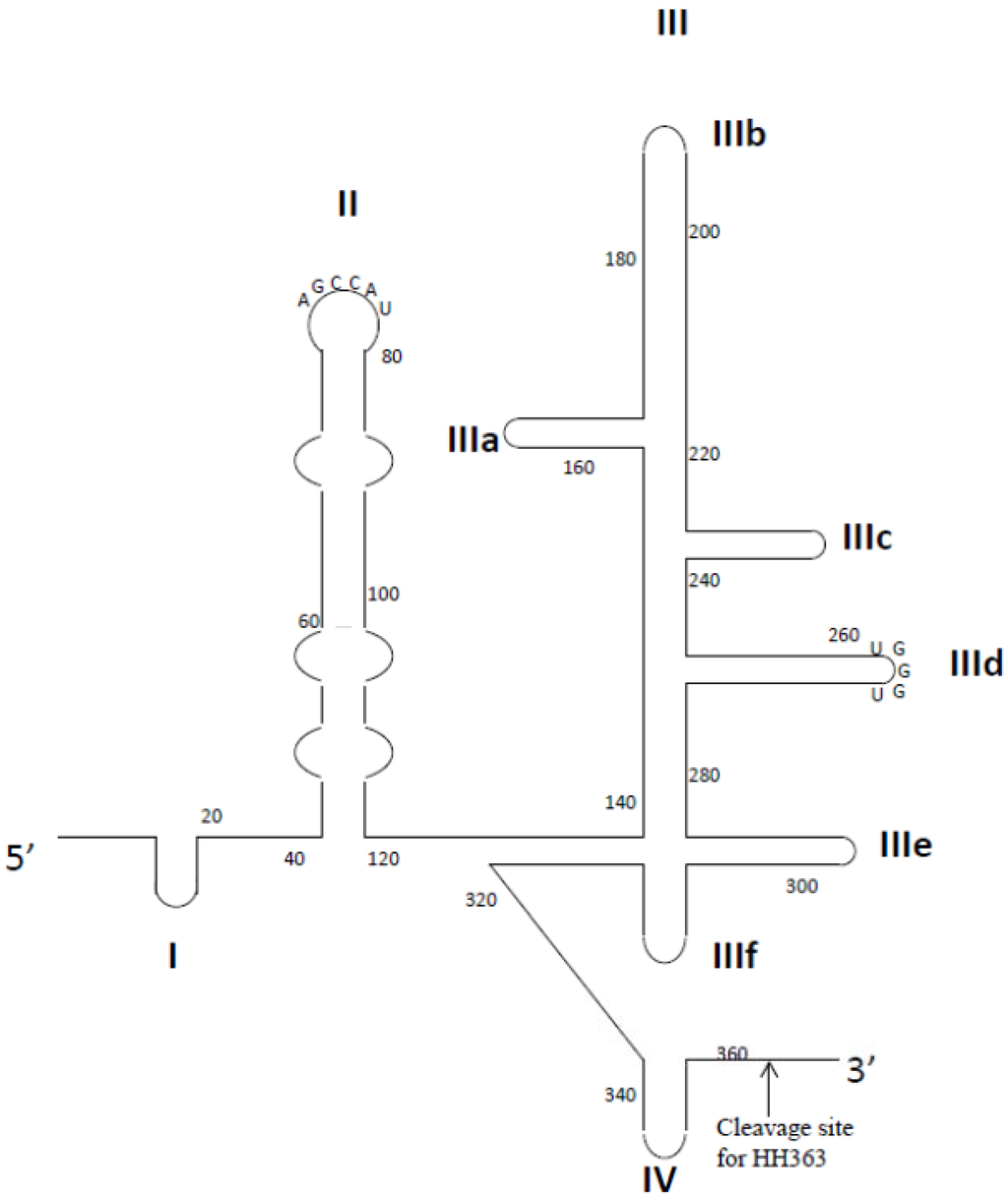 Pharmaceuticals 06 01507 g003 1024