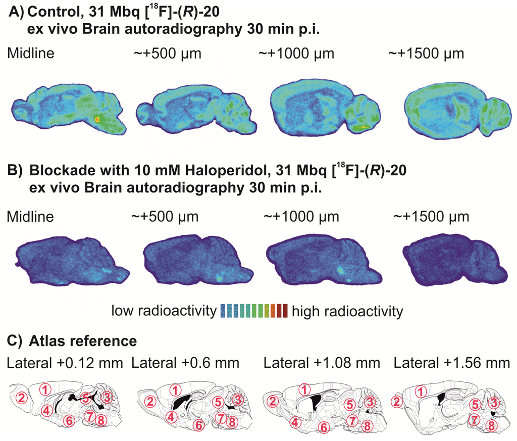 Pharmaceuticals 07 00078 g005 1024