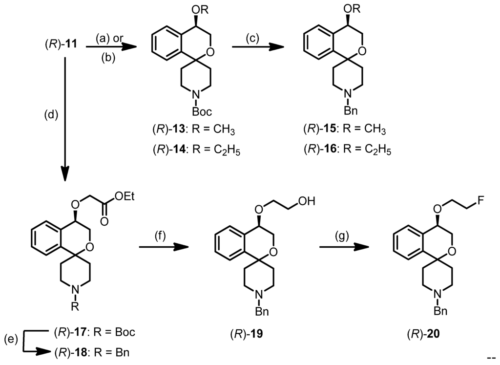 Pharmaceuticals 07 00078 g007 1024