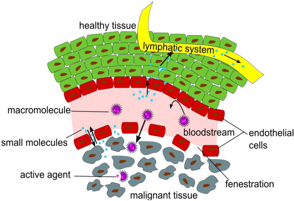 Pharmaceuticals 07 00392 g001 1024