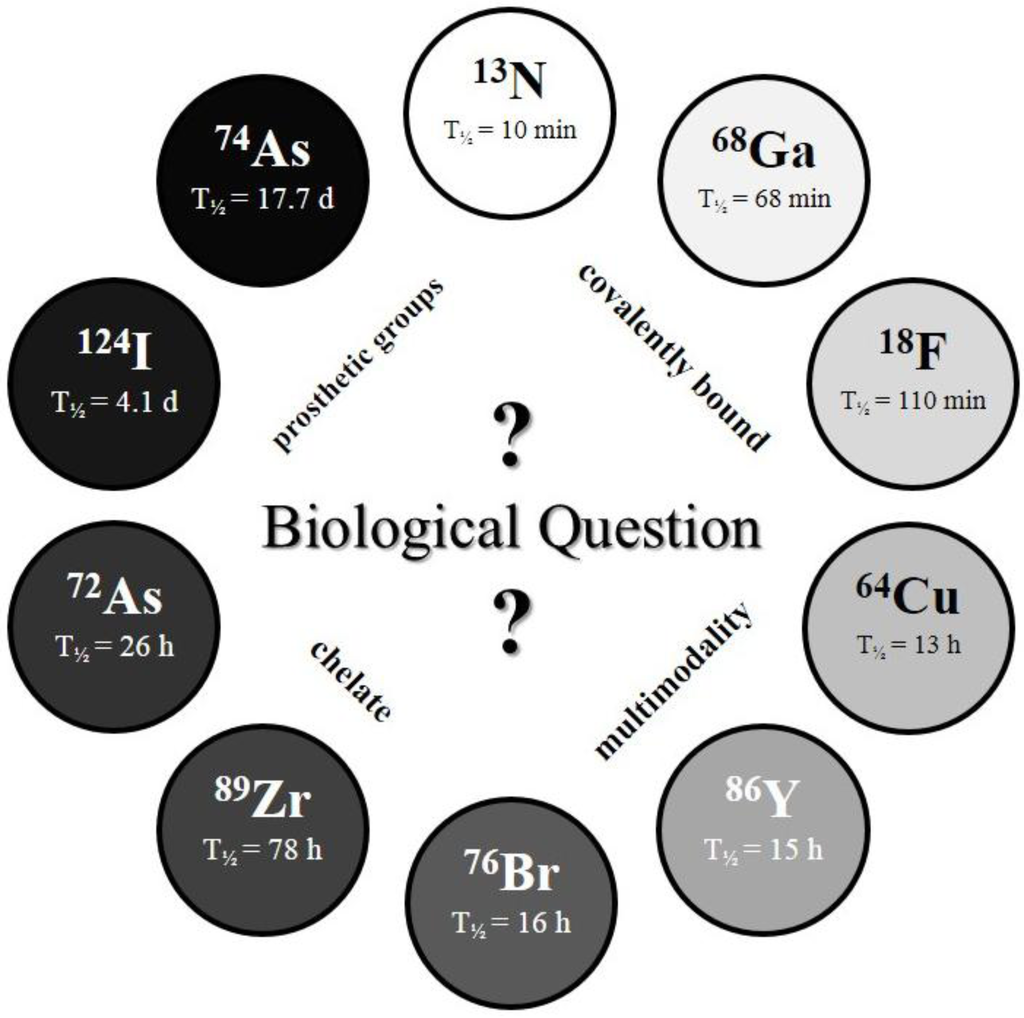 Pharmaceuticals 07 00392 g002 1024