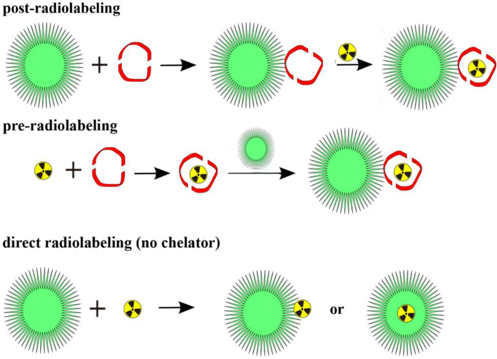 Pharmaceuticals 07 00392 g005 1024