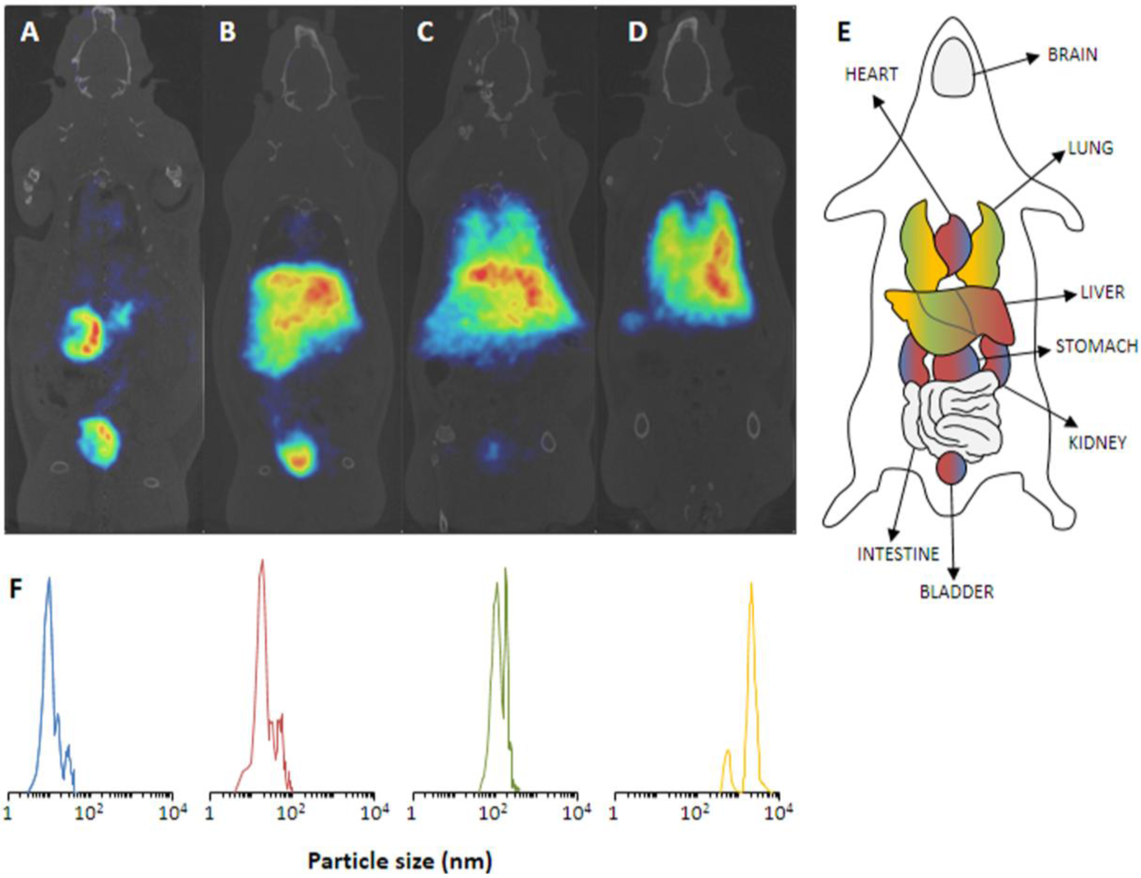 Pharmaceuticals 07 00392 g006