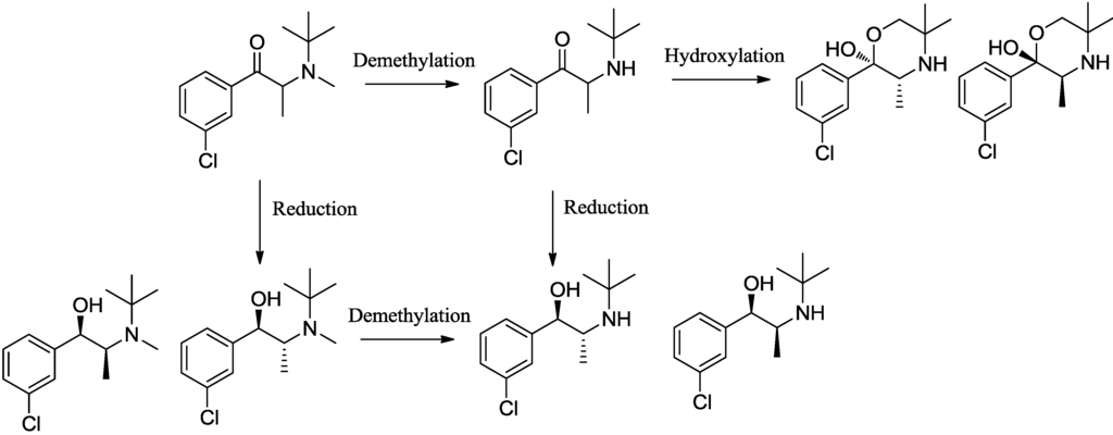 Pharmaceuticals 07 00676 g008 1024