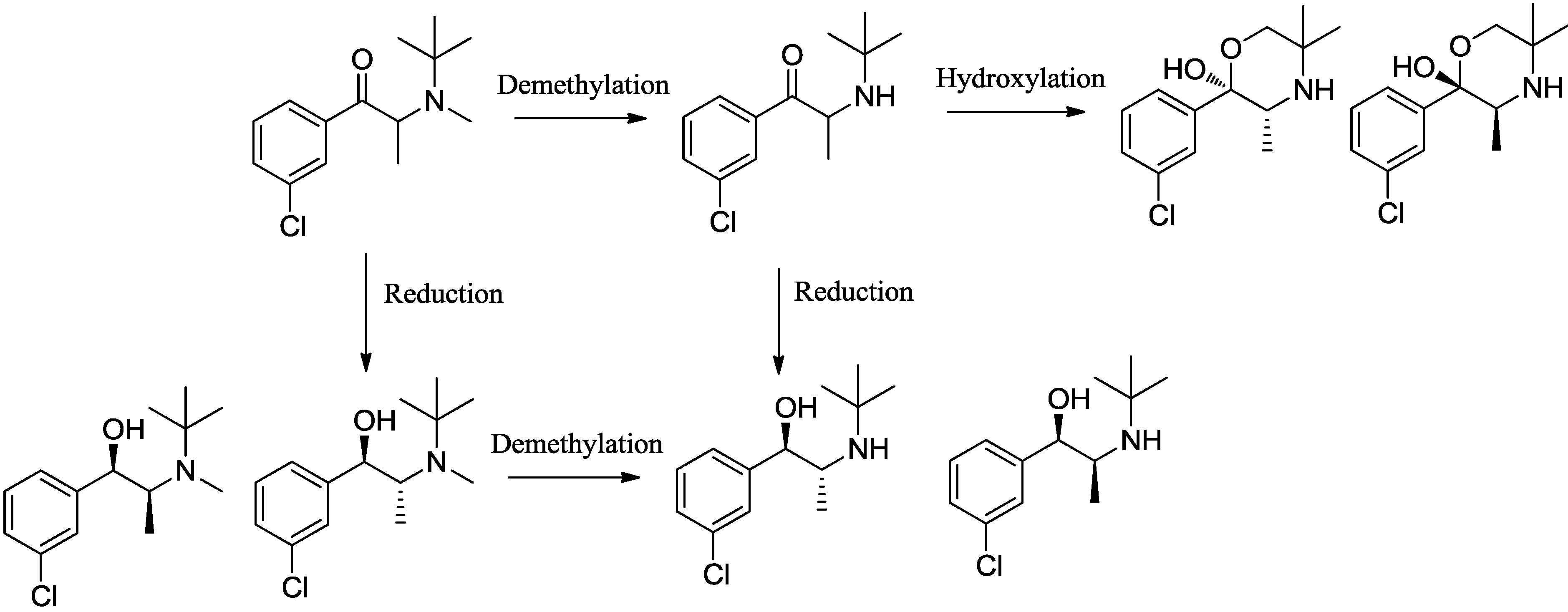 Pharmaceuticals 07 00676 g008