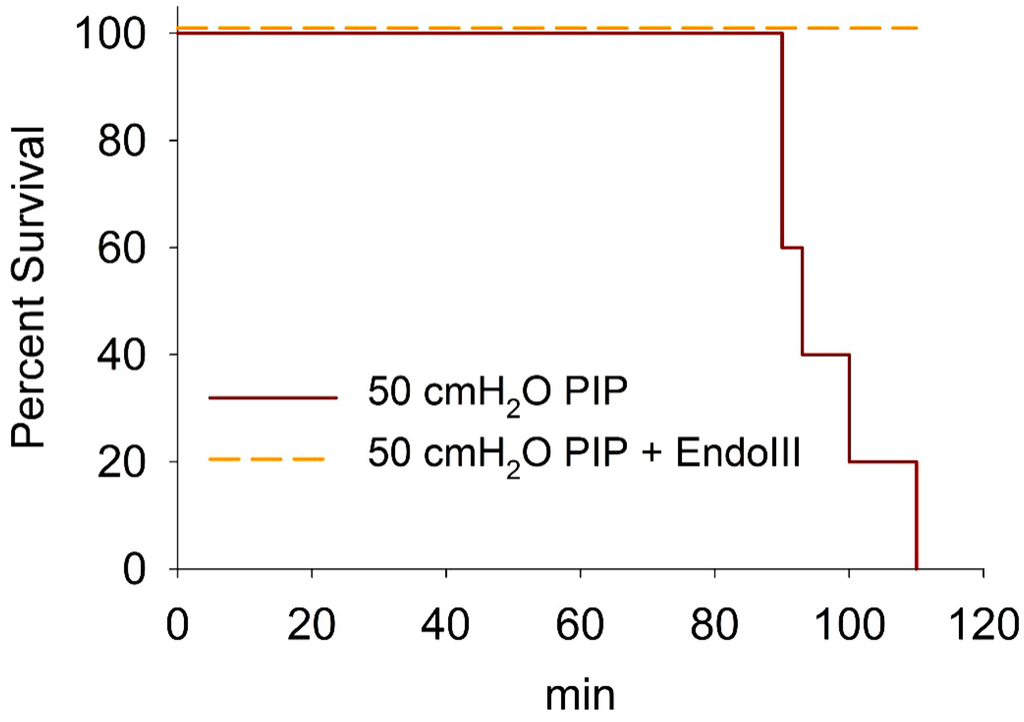 Pharmaceuticals 07 00894 g005 1024