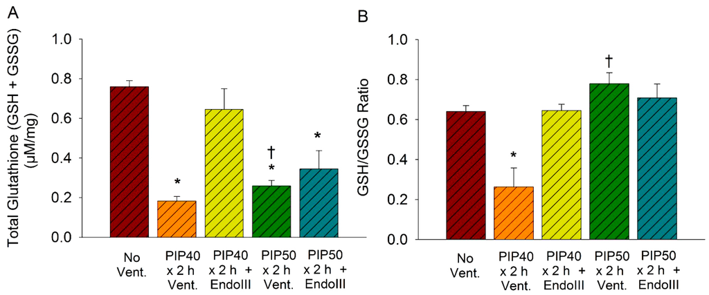 Pharmaceuticals 07 00894 g006 1024