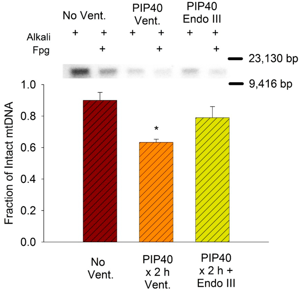 Pharmaceuticals 07 00894 g007 1024