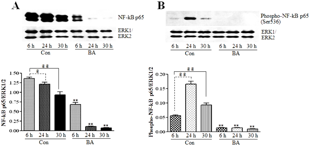 Pharmaceuticals 07 01008 g006 1024