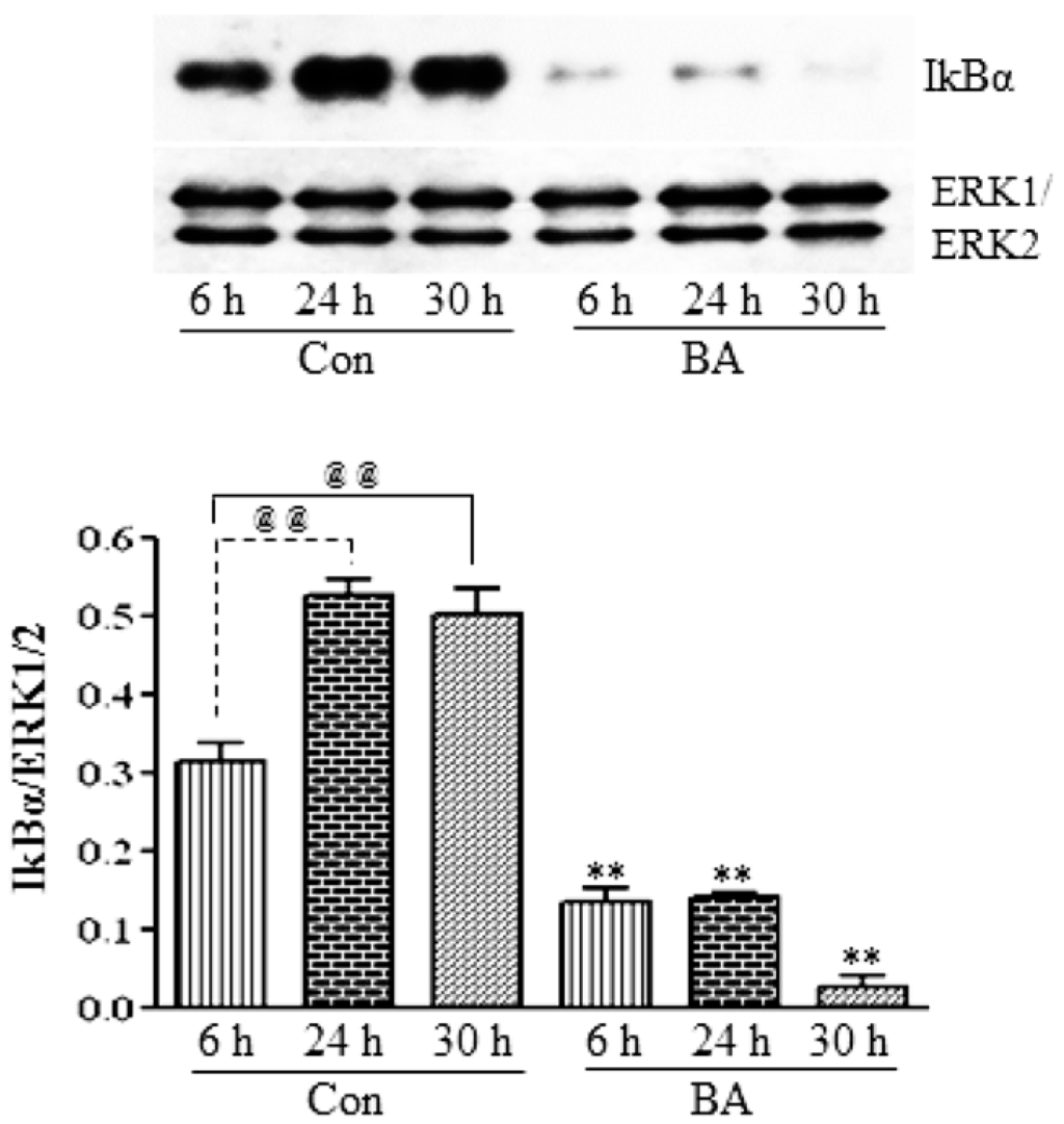 Pharmaceuticals 07 01008 g008 1024