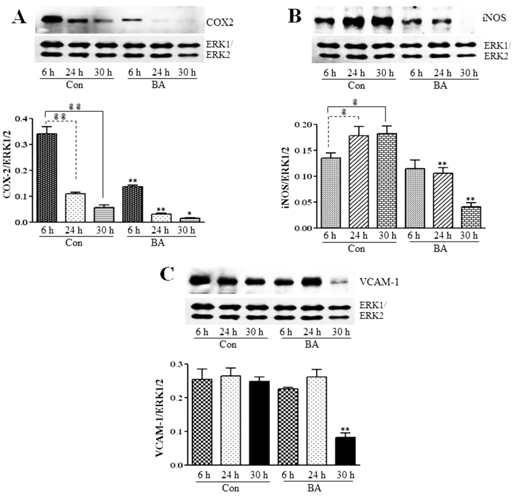 Pharmaceuticals 07 01008 g009 1024