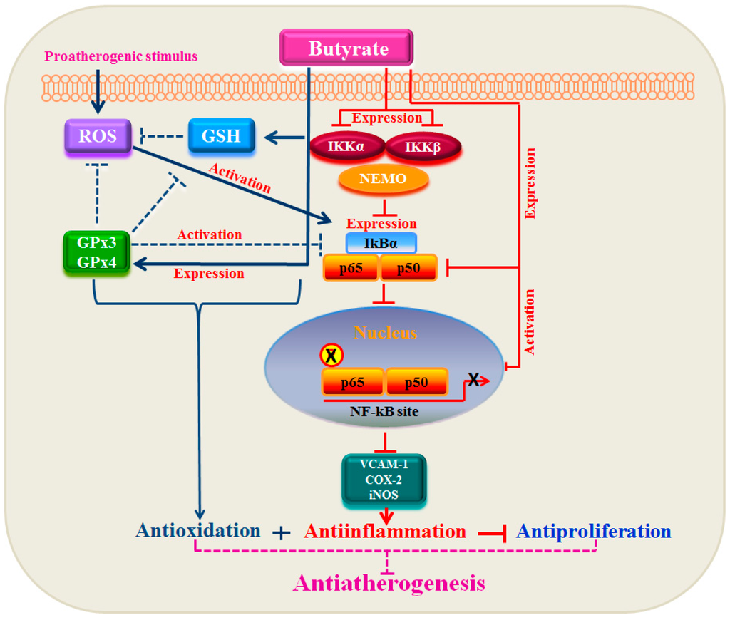 Pharmaceuticals 07 01008 g010 1024