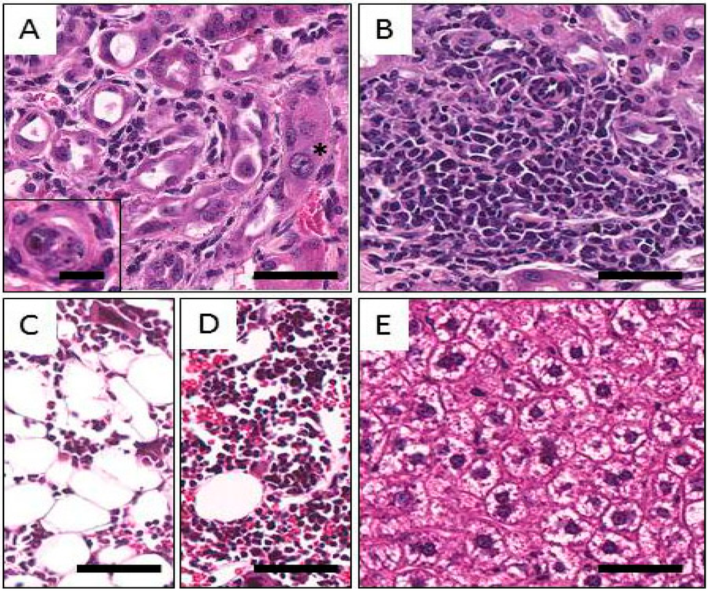 Pharmaceuticals 08 00416 g004 1024