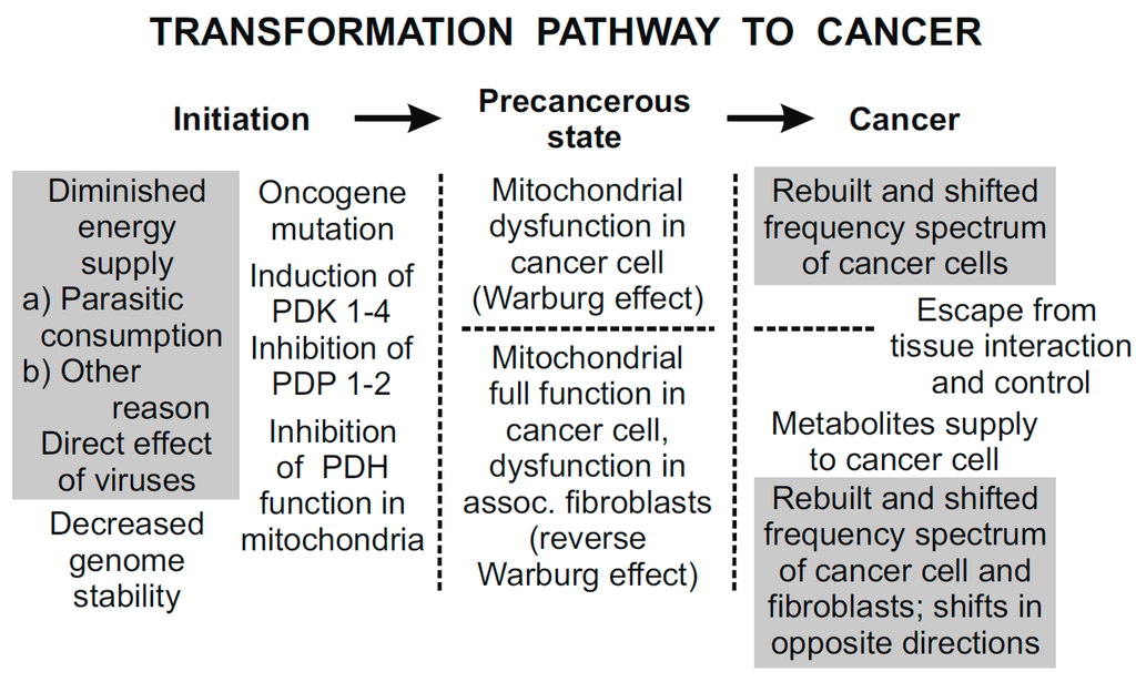 Pharmaceuticals 08 00675 g005 1024