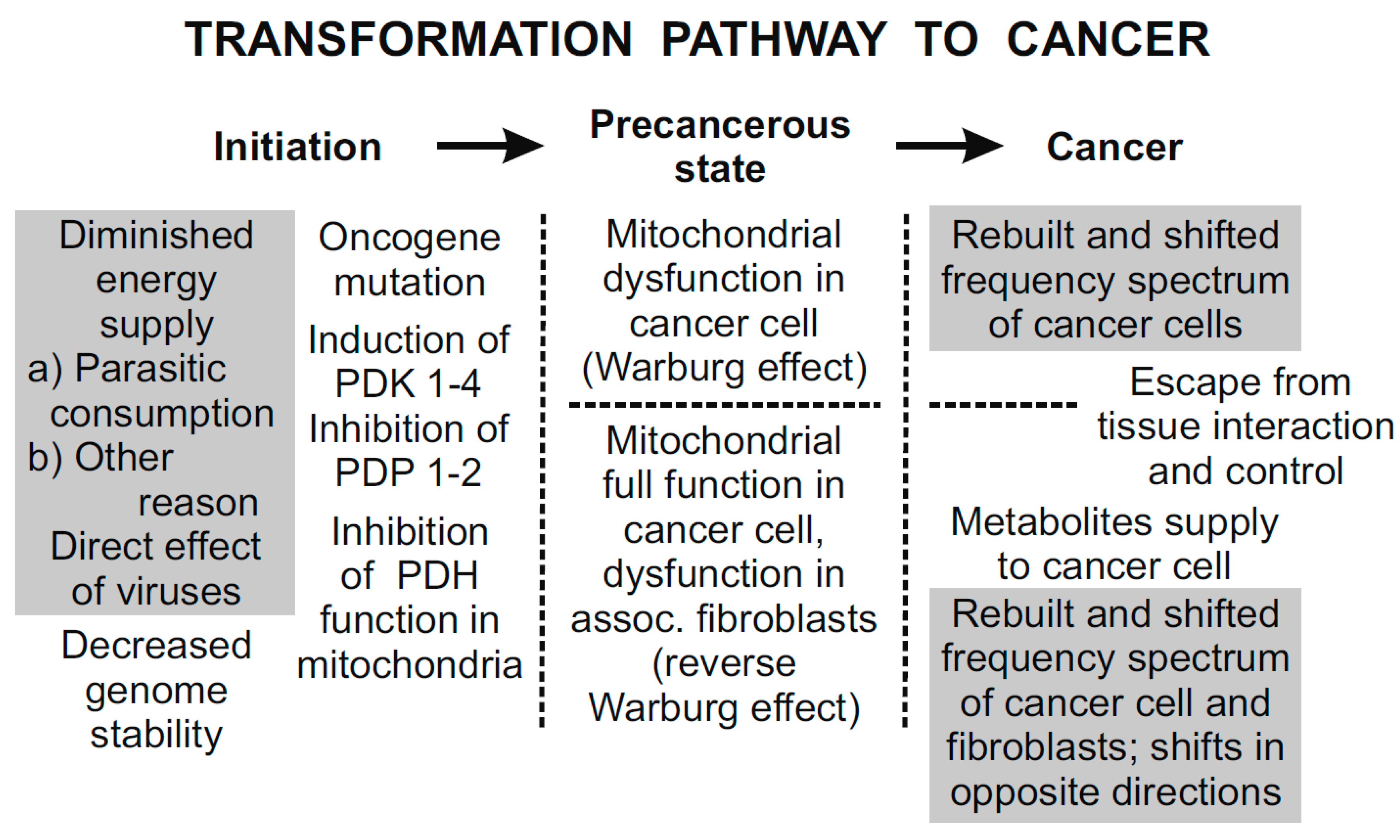 Pharmaceuticals 08 00675 g005